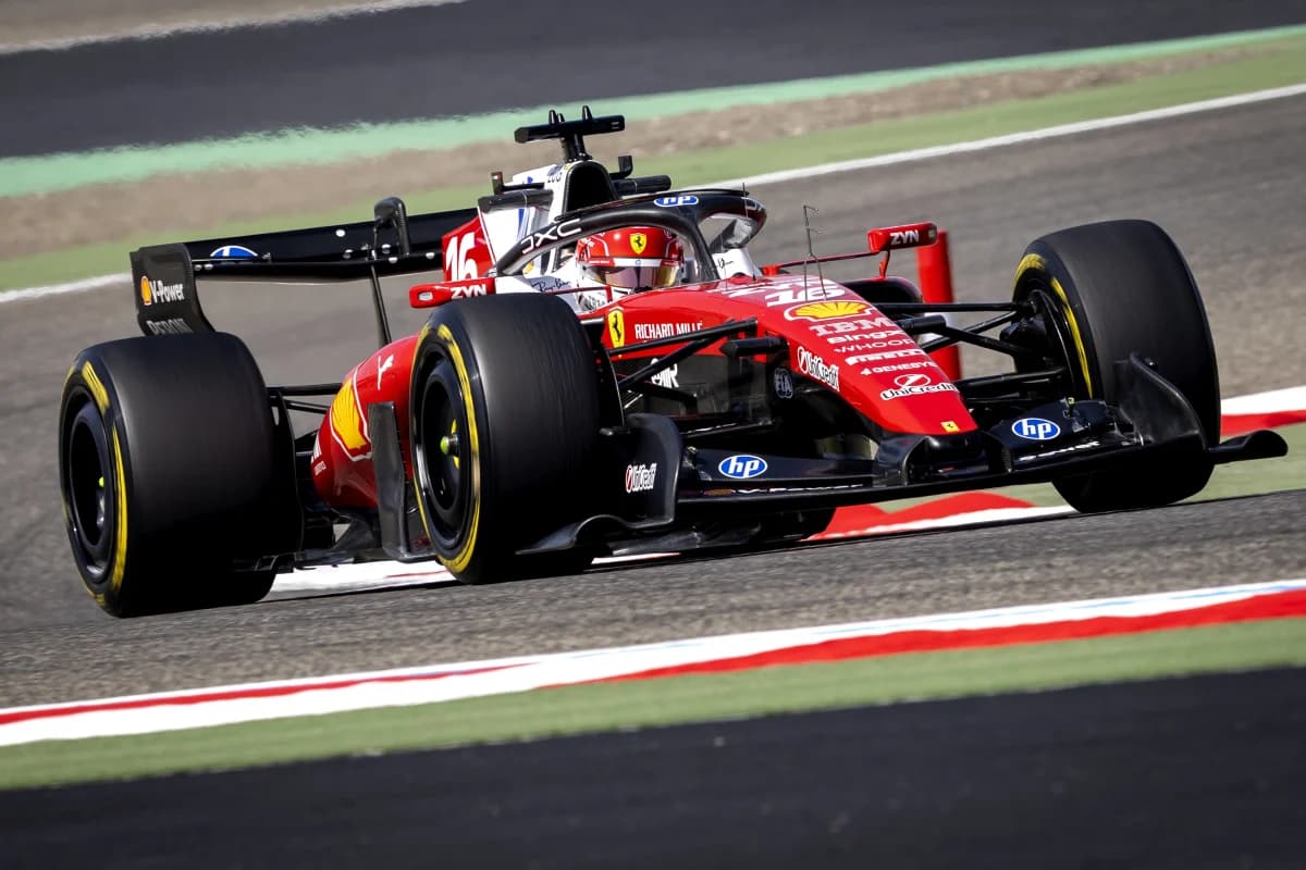 F1 fan